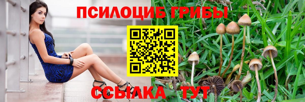 Городец  где можно купить   Вход с VPN  Галлюциногенные грибы Magic Shrooms 